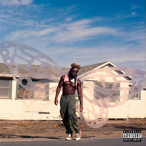 肥大BBW肥大βBw肥BBW高
