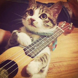 肥大BBW肥大βBw肥BBW高
